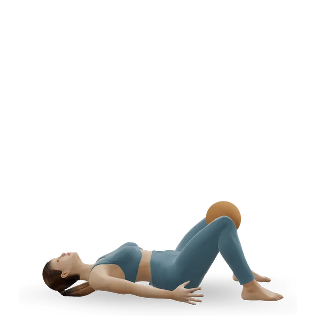 Lying adductor ball squeeze demonstrated on the 3D figure