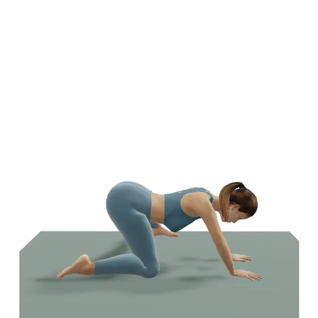 Adductor rock-back demonstrated on the 3D figure