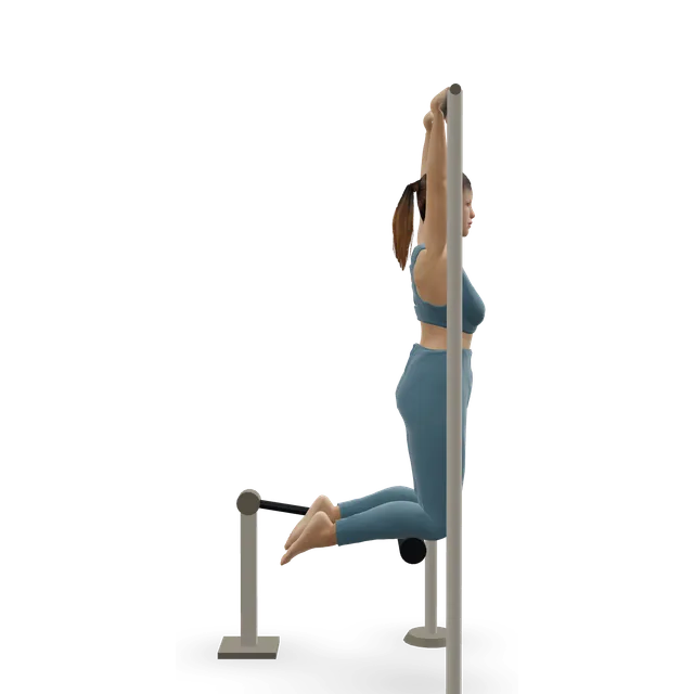 Assisted pull-up (machine) demonstrated on the 3D figure