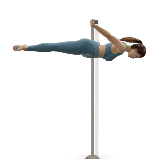Back lever demonstrated on the 3D figure