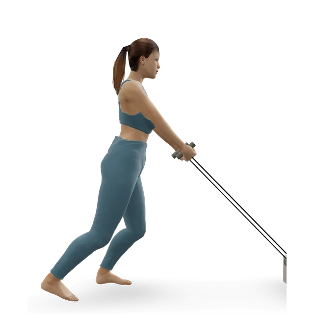 Backward sled drag demonstrated on the 3D figure