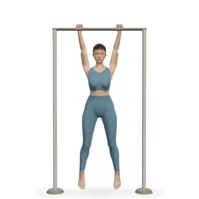 Bar hang demonstrated on the 3D figure