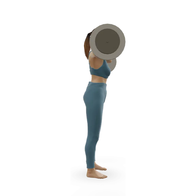 Barbell front squat demonstrated on the 3D figure