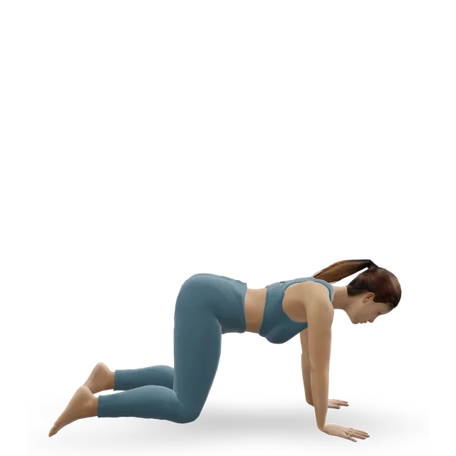 Bear Crawl demonstrated on the 3D figure