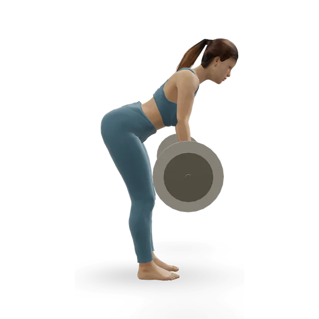 Bent-over barbell row demonstrated on the 3D figure