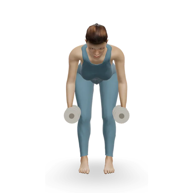 Bent-over reverse fly demonstrated on the 3D figure