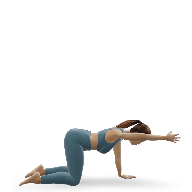 Bird dog, one limb at a time demonstrated on the 3D figure