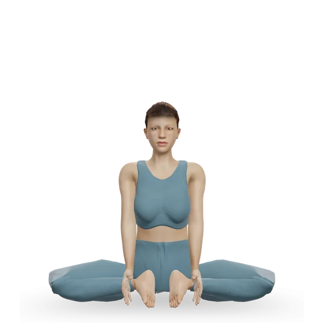 Bound angle pose (Baddha Konasana) demonstrated on the 3D figure