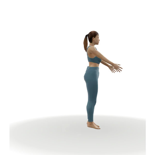 Burpee demonstrated on the 3D figure