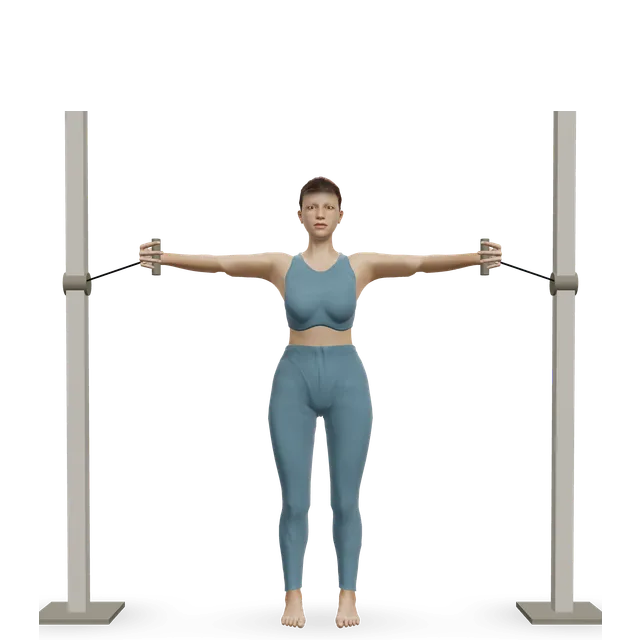 Cable fly demonstrated on the 3D figure