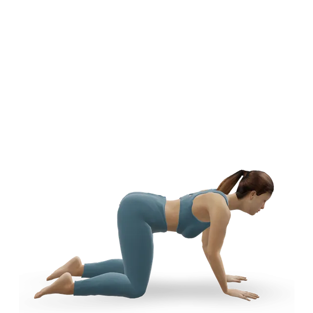 Cat-cow demonstrated on the 3D figure