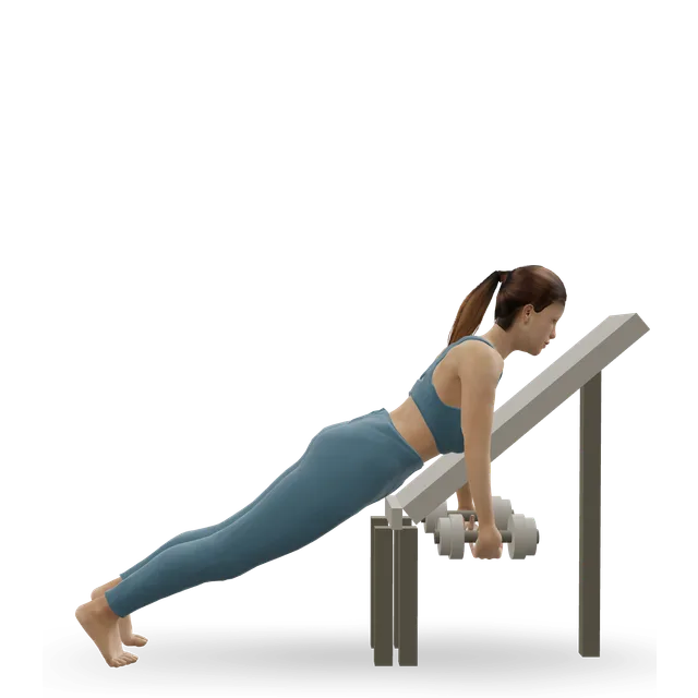 Chest-supported dumbbell row demonstrated on the 3D figure