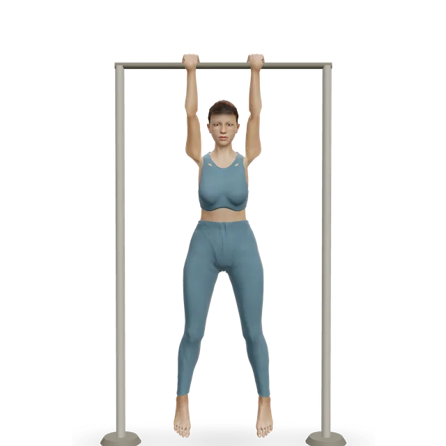 Chin-up demonstrated on the 3D figure