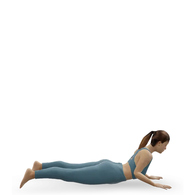 Cobra pose (Bhujangasana) demonstrated on the 3D figure