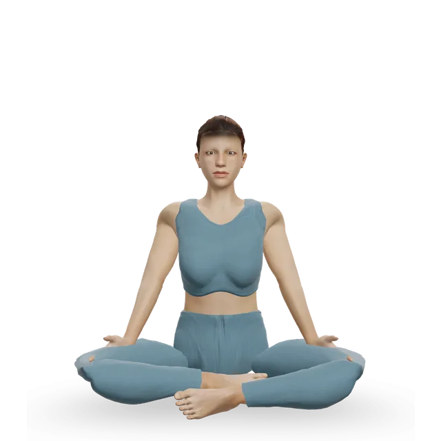 Easy pose (Sukhasana) demonstrated on the 3D figure