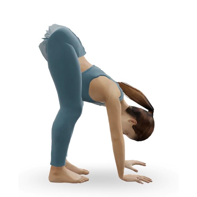 Elephant Walks demonstrated on the 3D figure