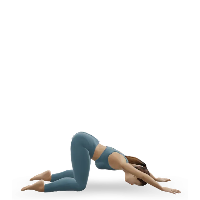 Extended puppy pose (Uttana Shishosana) demonstrated on the 3D figure