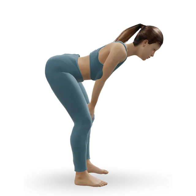 Flying sword (elastic forward swing) demonstrated on the 3D figure