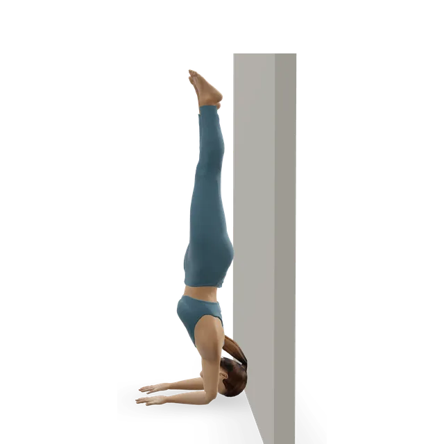 Forearm stand (Pincha Mayurasana) demonstrated on the 3D figure