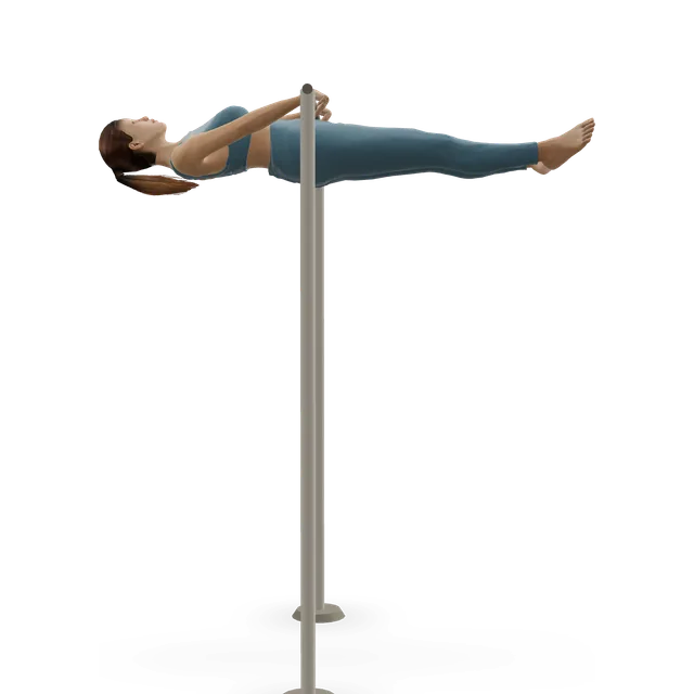 Front lever demonstrated on the 3D figure