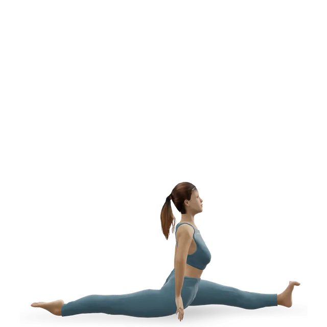 Front splits (Hanumanasana) demonstrated on the 3D figure