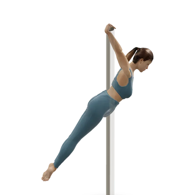 German hang demonstrated on the 3D figure