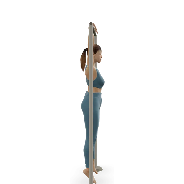Hanging knee raise demonstrated on the 3D figure