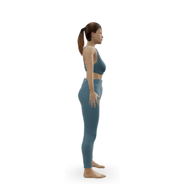 Heel drop (impact for bone) demonstrated on the 3D figure