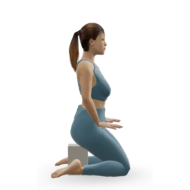 Hero Pose (Virasana) demonstrated on the 3D figure
