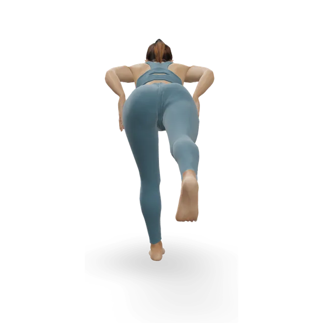 Hip airplane demonstrated on the 3D figure