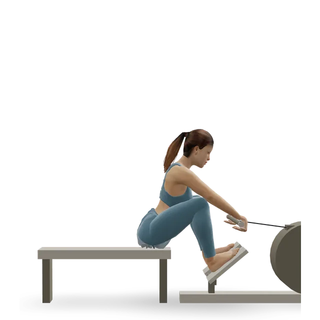 Indoor Rowing (Rowing Machine) demonstrated on the 3D figure