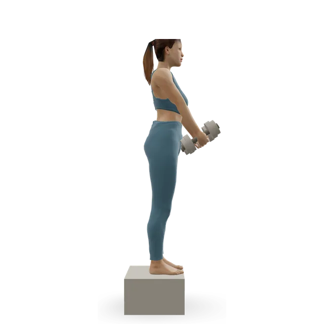 Jefferson curl demonstrated on the 3D figure