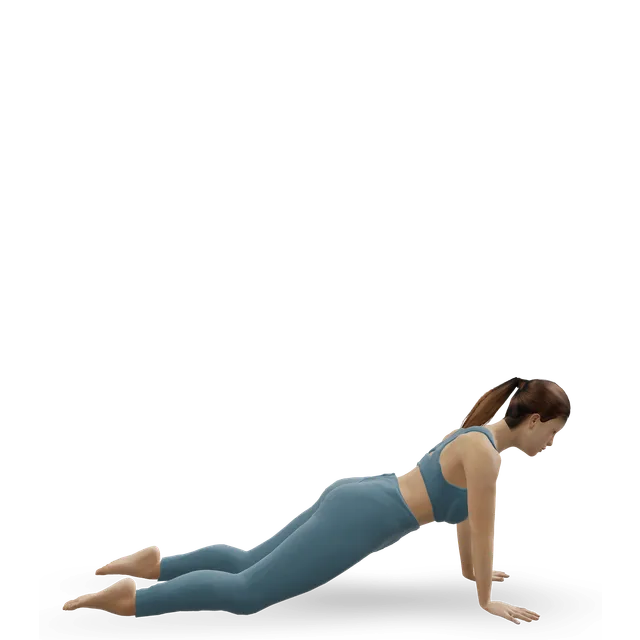 Knee push-up demonstrated on the 3D figure