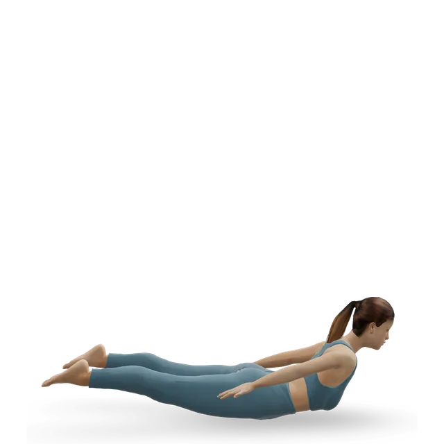 Locust pose (Salabhasana) demonstrated on the 3D figure
