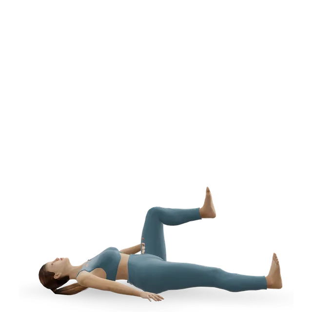 Lying sciatic nerve slider (nerve glide) demonstrated on the 3D figure