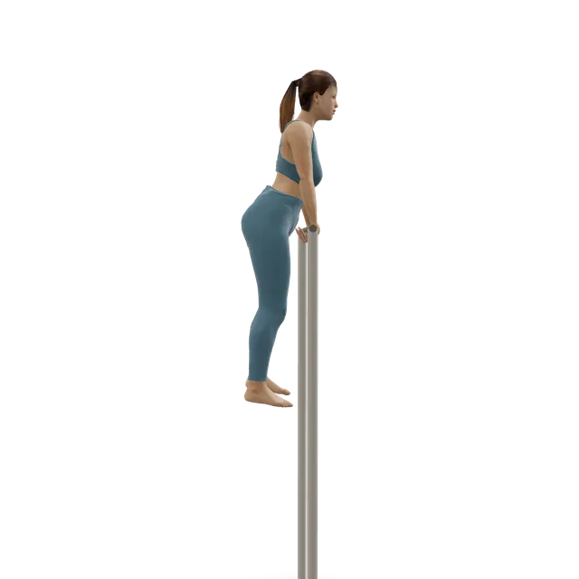 Muscle-up demonstrated on the 3D figure