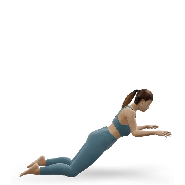 Nordic curl demonstrated on the 3D figure