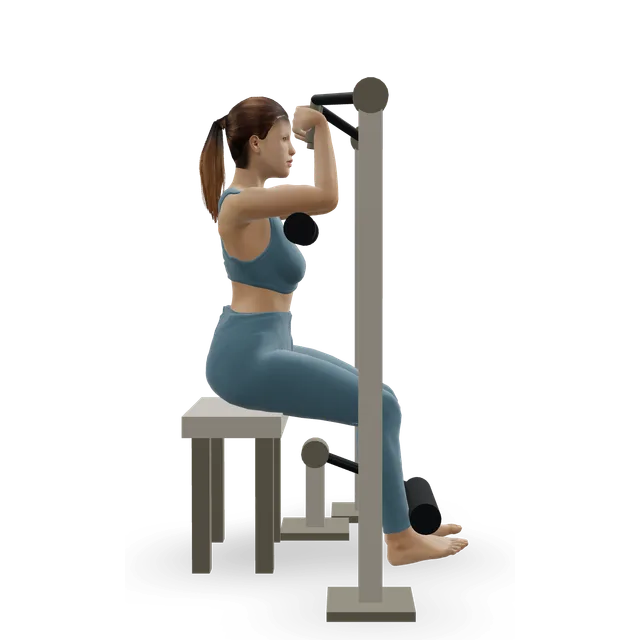 Ab crunch machine demonstrated on the 3D figure