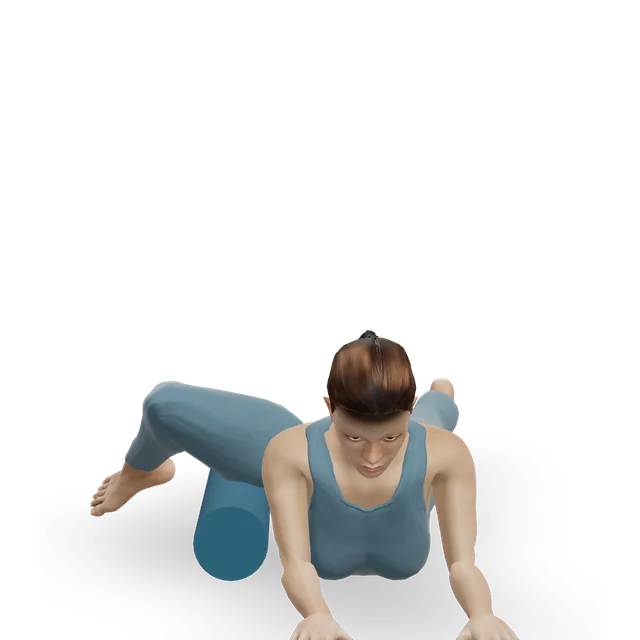 Adductor demonstrated on the 3D figure