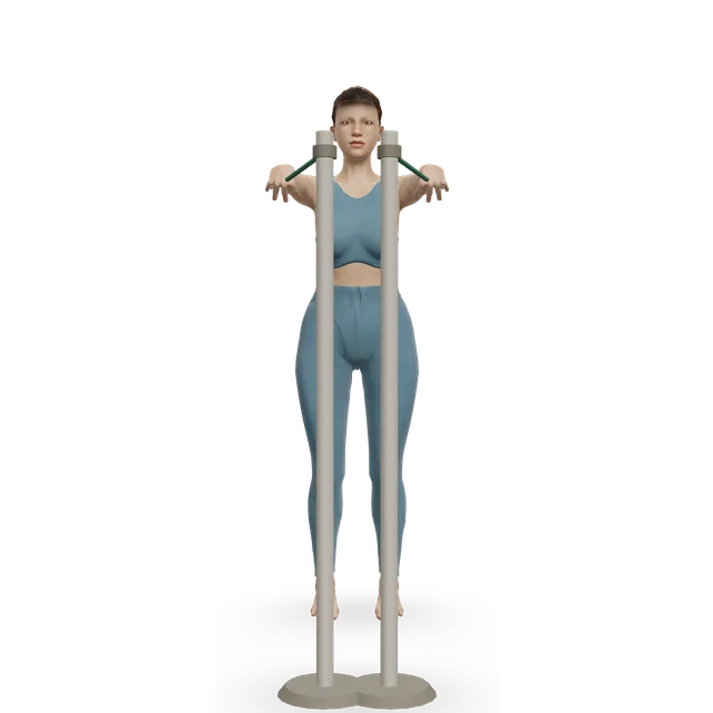 Back Flyes - With Bands demonstrated on the 3D figure
