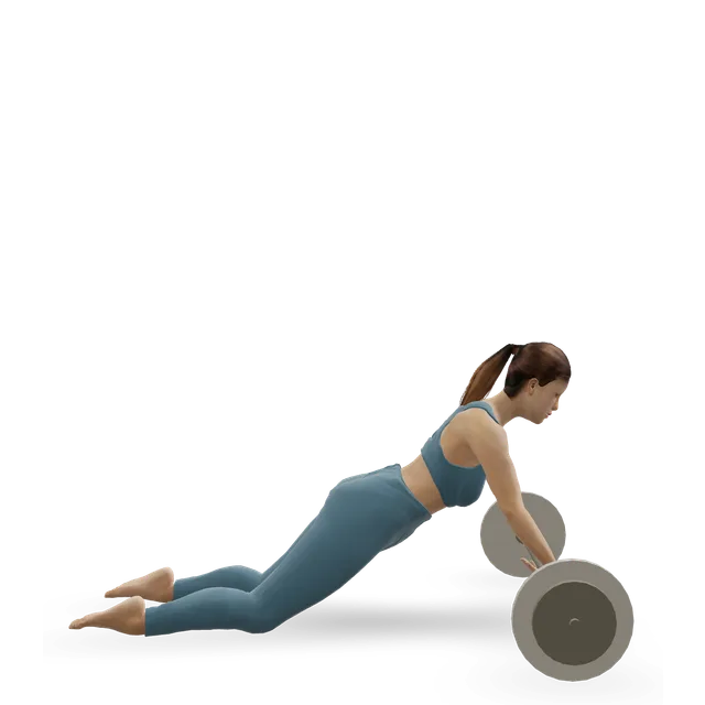 Barbell rollout from the knees demonstrated on the 3D figure