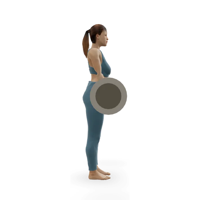 Barbell curl demonstrated on the 3D figure