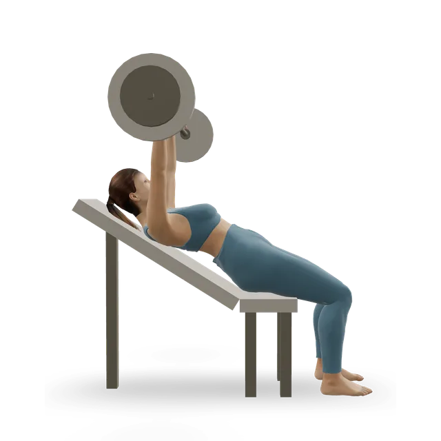 Incline barbell bench press demonstrated on the 3D figure