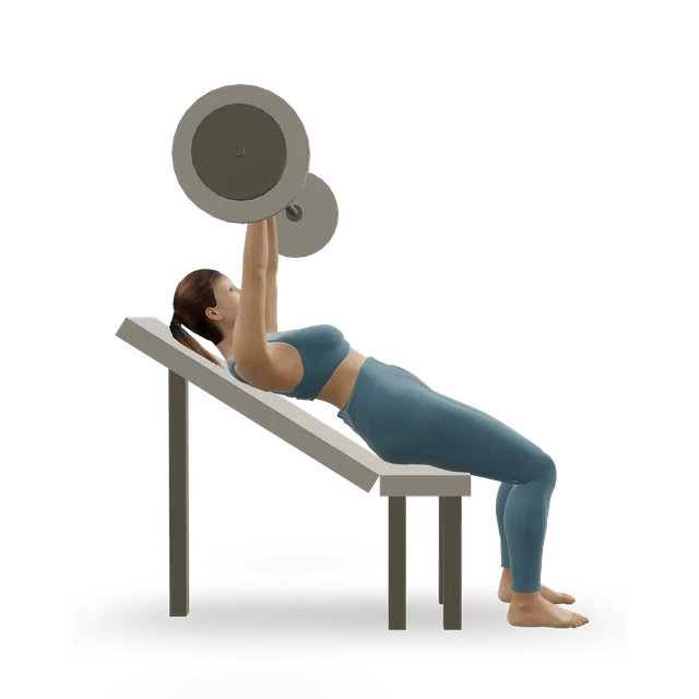 Barbell shoulder-blade punch demonstrated on the 3D figure