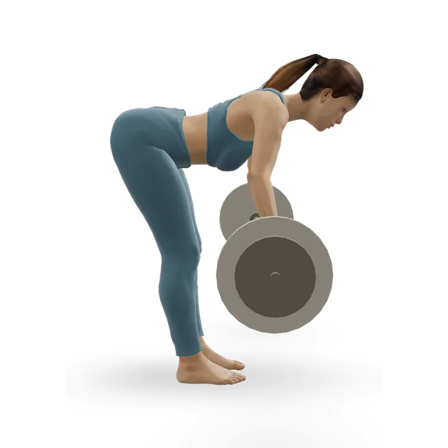 Barbell rear-delt row demonstrated on the 3D figure