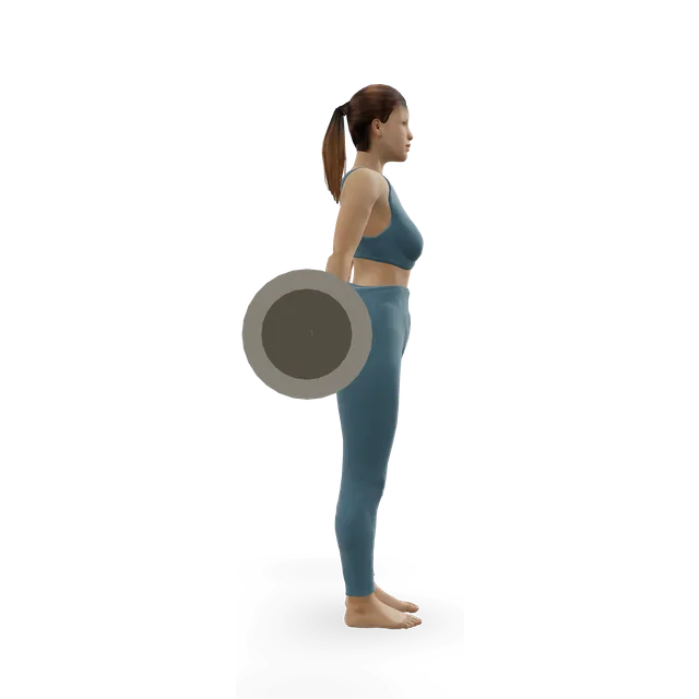 Barbell Shrug Behind The Back demonstrated on the 3D figure