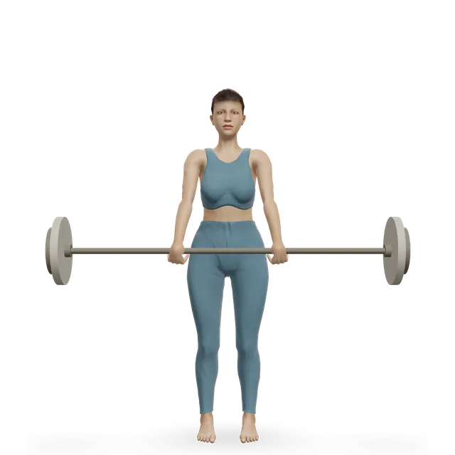 Barbell Shrug demonstrated on the 3D figure