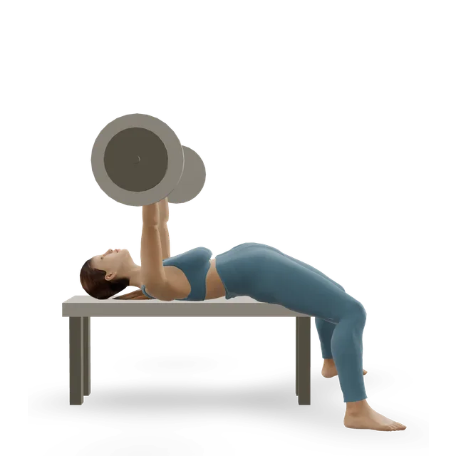 Bench Press - Powerlifting demonstrated on the 3D figure