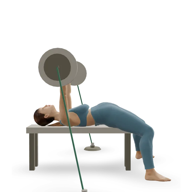Bench press with bands demonstrated on the 3D figure