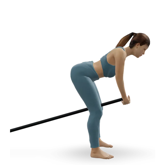 Bent Over Two-Arm Long Bar Row demonstrated on the 3D figure